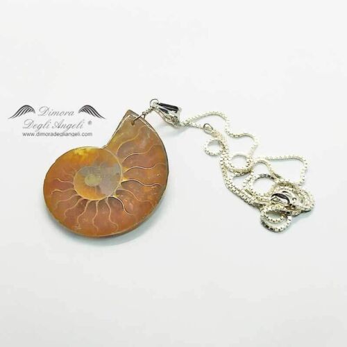 Ciondolo di Ammonite Collana Argento 1645