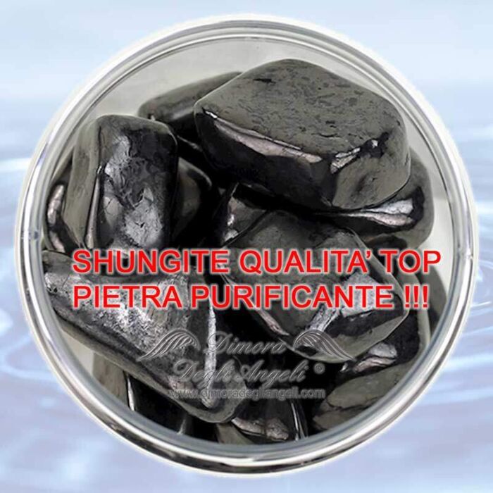 Shungite Pietra di Purificazione 1941