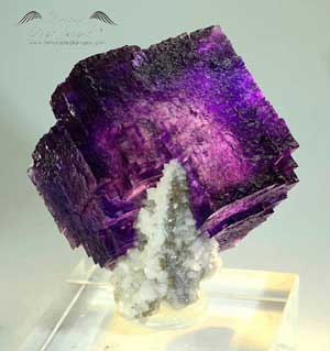 fluorite viola scuro