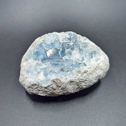 Celestina Pietra Angeli 3134